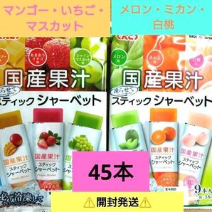 ☆国産果汁☆凍らせて食べるスティックシャーベット【5袋分・計45本】いちご・メロン ★特価★クーポン利用⑩