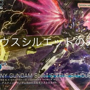 ゼウスシルエット HG デスティニーガンダムSpecⅡ