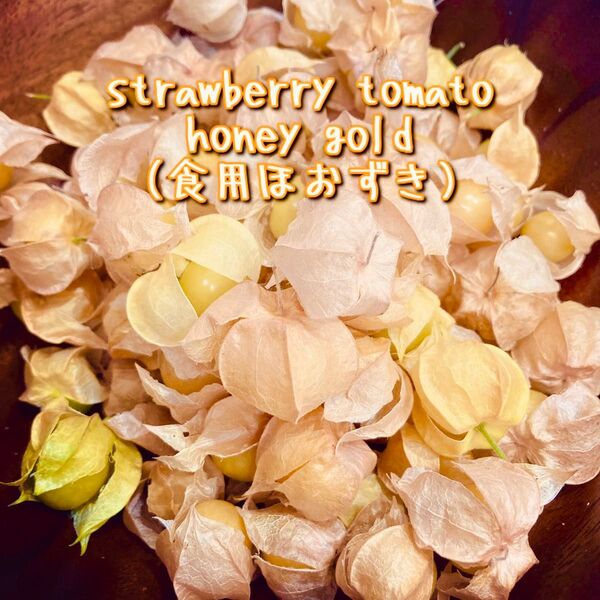 ゴールデンベリー 食用ほおずき 富山県産 約300g