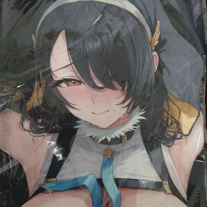正規品 少女の杜 ヒナタ 抱き枕カバー 晃田ヒカ