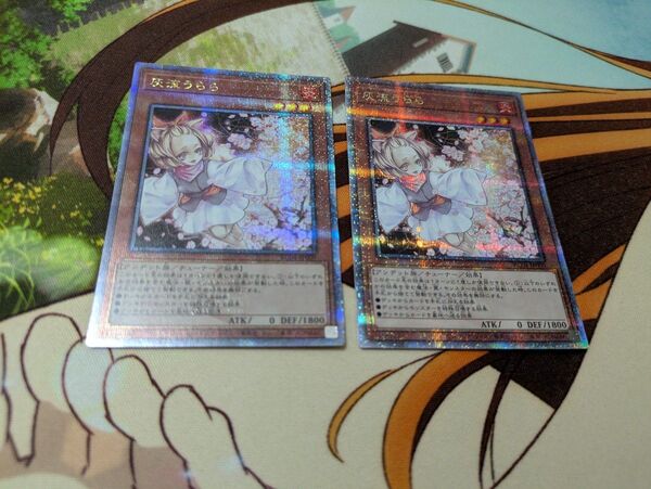 遊戯王 灰流うらら×2 25th QC クオシク クウォシク