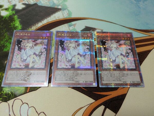 遊戯王 灰流うらら×3 25th 絵違い QC クオシク クウォシク