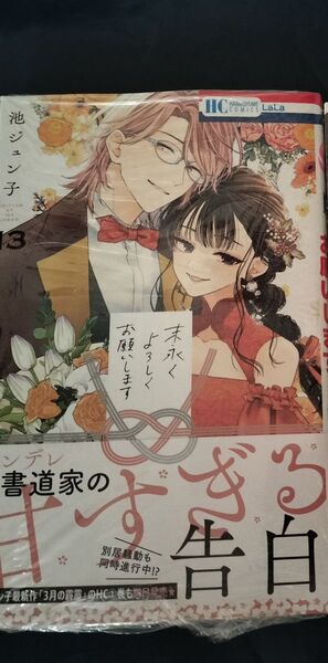 応募券使用済み 末永くよろしくお願いします 12 (花とゆめCOMICS) 池ジュン子/著
