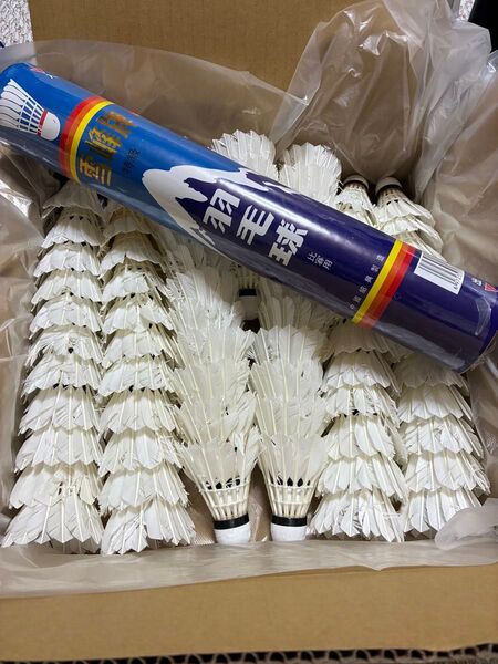 バドミントンシャトル(中古)200ヶ