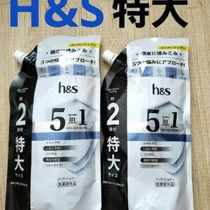 h&s 5in1 コンディショナー 560g×2 つめかえ用 特大サイズ ふけ かゆみ においベタつき 乾燥