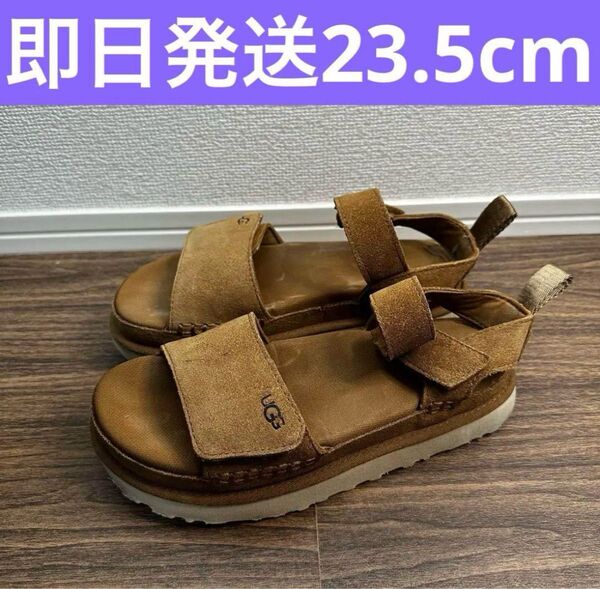 UGG アグ Goldenstar ゴールデンスター Chestnut チェスタント 23.5cm