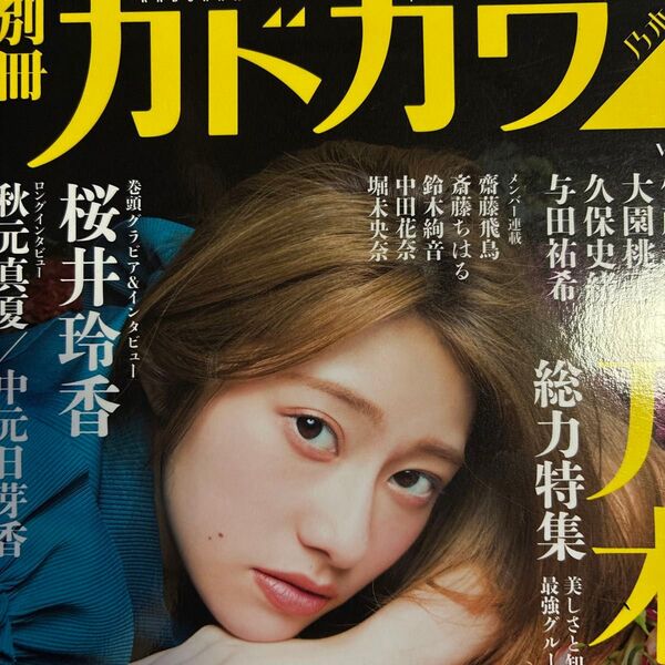 巻頭桜井玲香「別冊カドカワ総力特集乃木坂46 vol.04」やや傷み汚れあり。