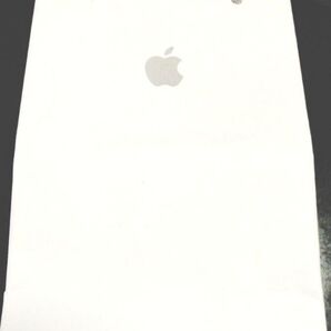 アップルストア紙袋 Applestore Apple
