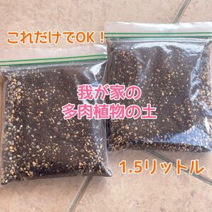多肉植物の土 我が家のオリジナルブレンド 1.5リットル(40)