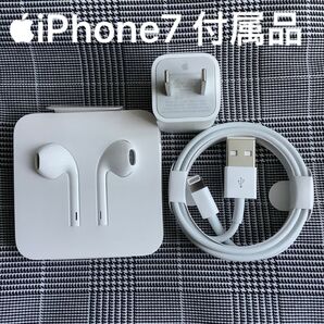 Apple iPhone充電器 iPhoneイヤホン ACアダプター ライトニングケーブル