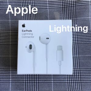 Apple EarPods Lightning A1748 iPhoneイヤホン ライトニング MMTN2J