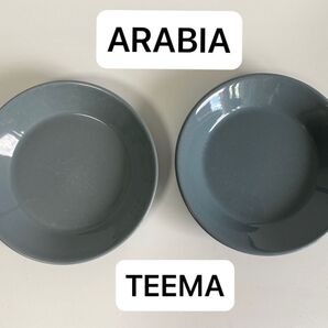 ARABIAアラビア teema ティーマ 13cm 2枚セット
