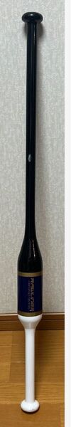 ローリングス Rawlings 野球 ジュニア用 トレーニング用バット BHJW1TB2W