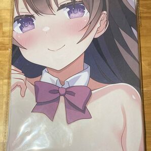 星待愛梨 抱き枕カバー