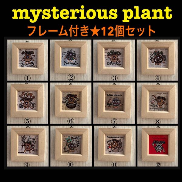 mysterious plant★12個セット★フレーム付き★イラスト