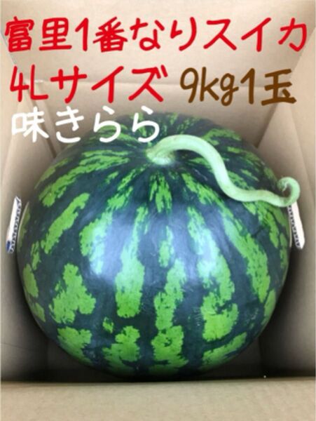 富里1番なりスイカ味きらら4Lサイズ1玉入り