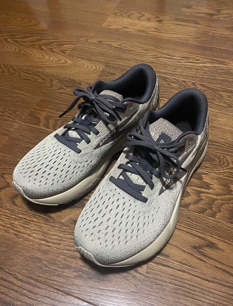 BROOKS Ghost 16