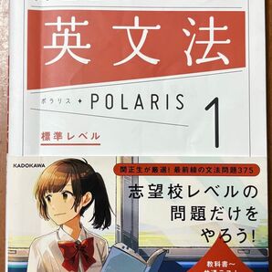 関正生の英文法ポラリス1 標準レベル 大学入試問題集 関正生 POLARIS1