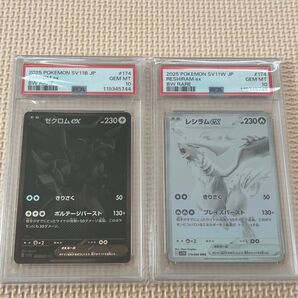 ポケモンカード ゼクロムEX レシラムEX BWR PSA10 連番2枚