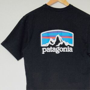 Patagonia★パタゴニア フィッツ ロイ ホライゾンズ レスポンシビリティー Tシャツ ブラック M