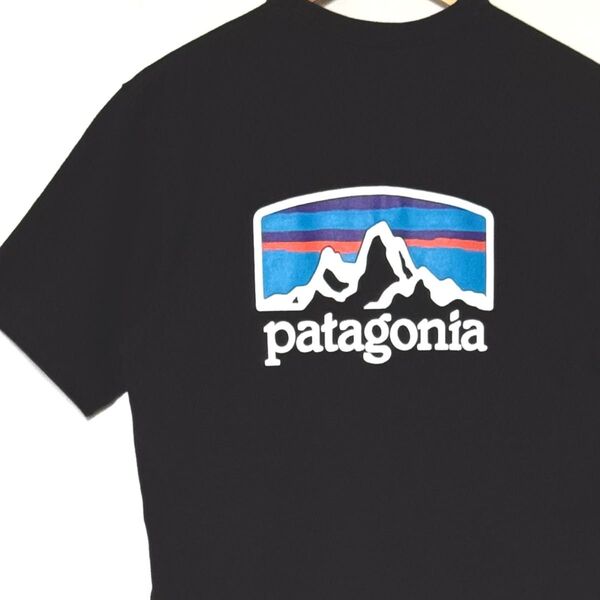 Patagonia★パタゴニア フィッツ ロイ ホライゾンズ レスポンシビリティー Tシャツ ブラック M
