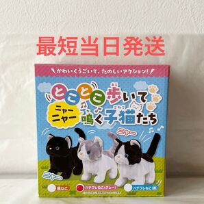 とことこ歩いてニャーニャー鳴く子猫達 ハチワレねこ グレー