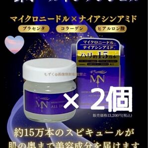 マイクロニードル オールインワンジェル 2個 針美容 モイスチュアジェル スピキュール プラセンタ ヒアルロン酸 コラーゲン