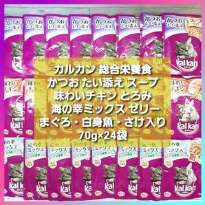 カルカン パウチ かつおたい添え スープ 味わいチキン とろみ 海の幸ミックス まぐろ・白身魚・さけ入り ゼリー 70g×24袋