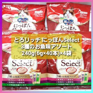 銀のスプーン 三ツ星グルメ にっぽんSelect とろリッチ 3種のお魚味アソート 240g(6g×40本)×4袋