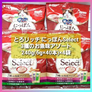 銀のスプーン 三ツ星グルメ にっぽんSelect とろリッチ 3種のお魚味アソート 240g(6g×40本)×4袋
