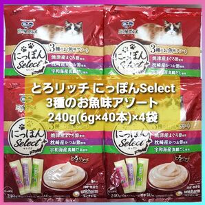 銀のスプーン 三ツ星グルメ にっぽんSelect とろリッチ 3種のお魚味アソート 240g(6g×40本)×4袋
