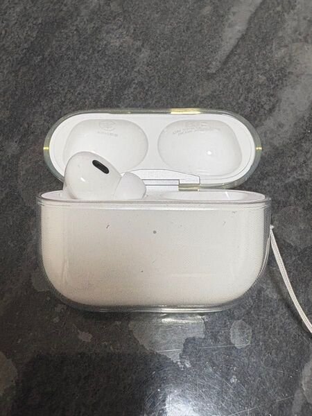 AirPods Pro2(Type-C)充電器ケースと左耳
