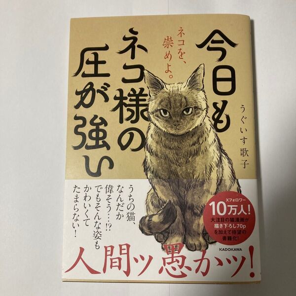 今日もネコ様の圧が強い うぐいす歌子/著