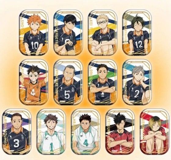 ハイキュー スクエア缶バッジ セット クールダウン おすわり セブンネット限定