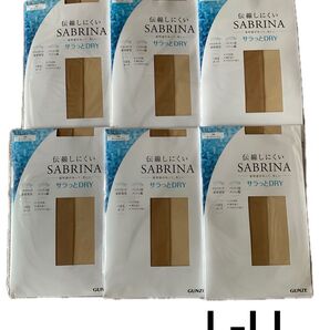 GUNZE SABRINA サラっと快適 伝線しにくい ストッキング 6足まとめ売り