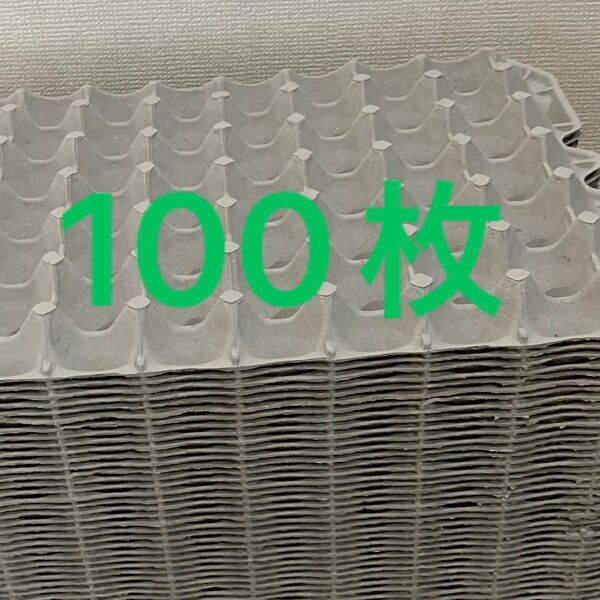 卵トレー紙モールド昆虫マット100枚