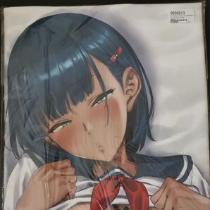 金城遙華 抱き枕カバー ピアニッシモ ピジャ A&J製 ライクトロンリッチ アルモア