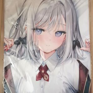 オトメ世界の歩き方 片桐ユイ 抱き枕カバー ORTHROS オルトロス mignon