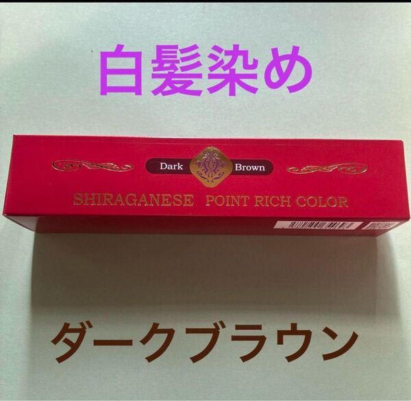 ビアント シラガネーゼ ポイントリッチカラー 20g 部分用 白髪染め クリーム