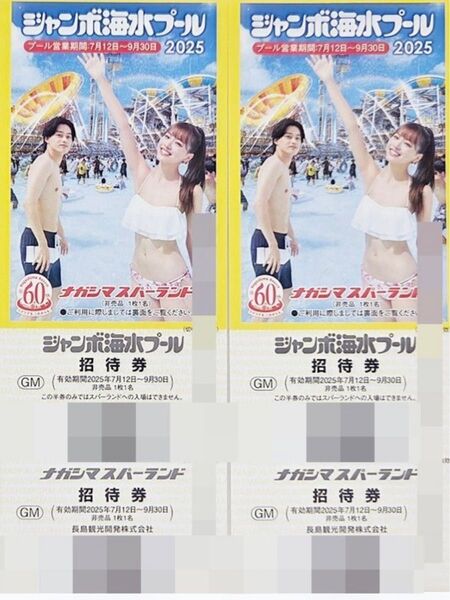ナガシマスパーランド ジャンボ海水プール 招待券 2枚