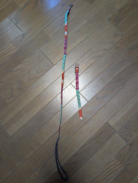 犬、リード、首輪、散歩、ハーネス