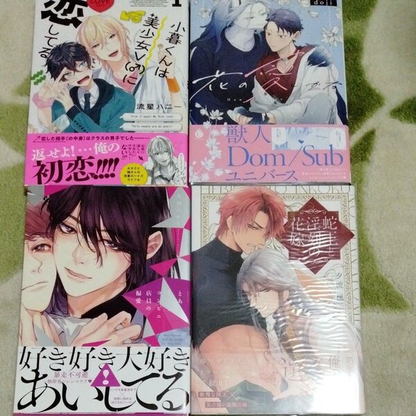 BL漫画 流星ハニー doji 青禎たかし 夕波楓
