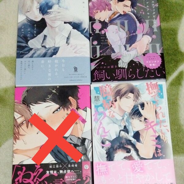 BL漫画 井波エン ミナヅキアキラ 慧