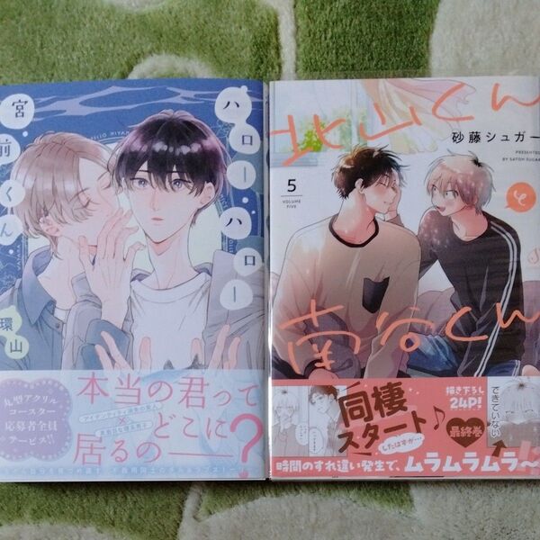 BL漫画 ハローハロー宮前くん 環山 北山くんと南谷くん5 砂藤シュガー バラ売り不可 入れ替え可能