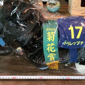 サラブレッドコレクション ふわふわBIG ぬいぐるみ 【ドゥレッツァ】