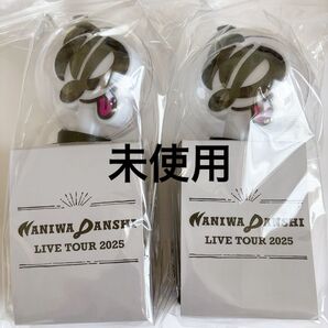 なにわ男子 ボンボンボヤージュ LIVE TOUR 2025 ペンライト 2個セット