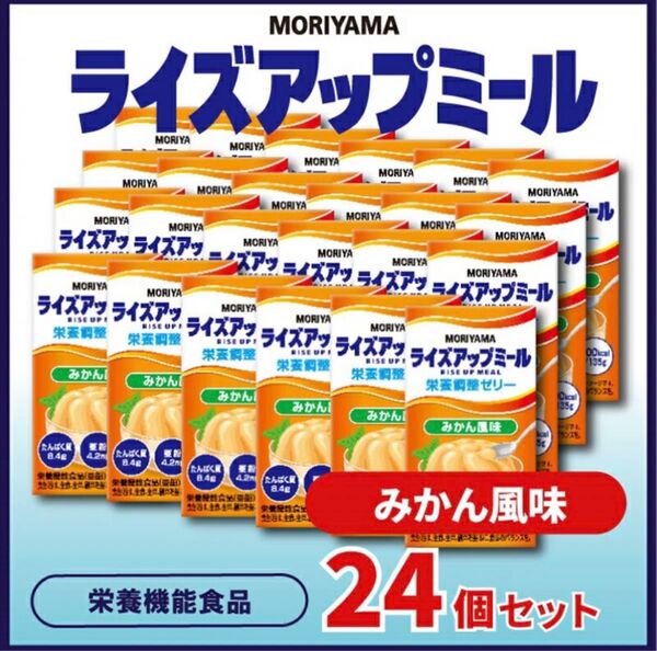 MORIYAMA ライズアップミール 栄養調整ゼリー みかん風味 135g×24本