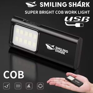 新品 ミニLED懐中電灯 ライト USB Type-C充電式 クリップ付き