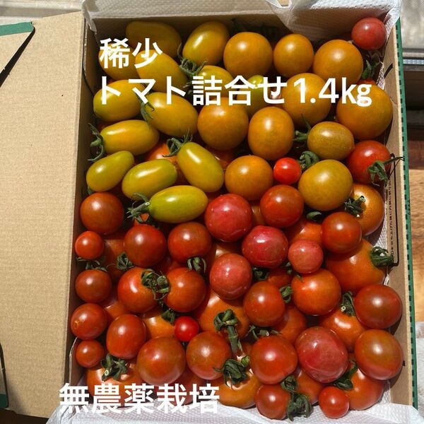 トマト(ミニ・中玉トマト)詰合せ5種1.4㎏ 無農薬栽培稀少種