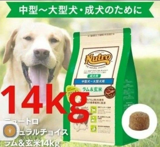 ニュートロナチュラルチョイス ラム&玄米 中型犬 大型犬 成犬用 14kg